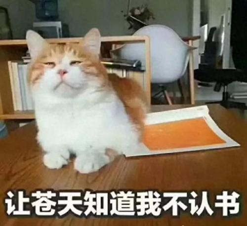 天下霸图详细攻略(天下霸图攻略)插图8