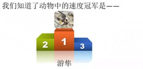 奔的多音字组词(奔多音字怎么区分)插图41