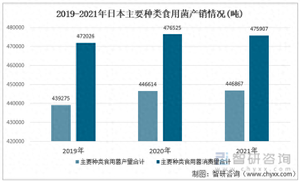 日本蘑菇排名前十(日本蘑菇多少钱一个)插图3