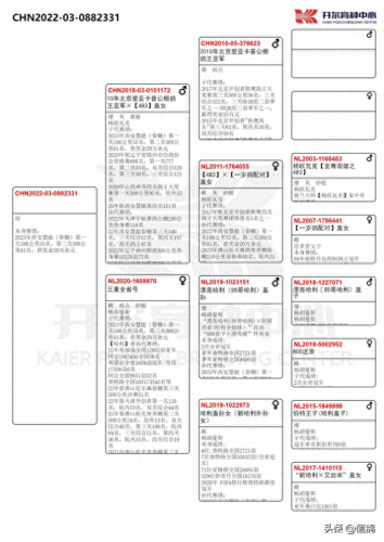 尼尔森赛鸽公棚春棚(尼尔森赛鸽公棚)插图9