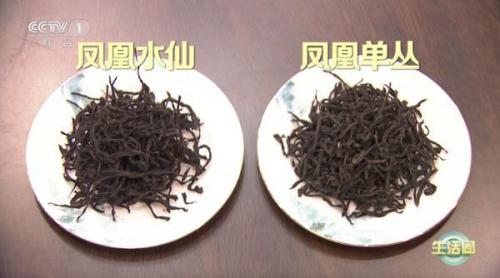 春困秋乏夏打盹下一句怎么接(春困秋乏完整的句子)插图2
