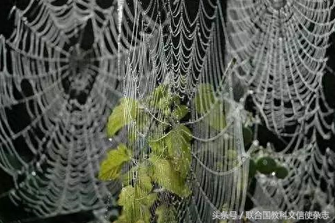 锤子硬度排名前十(什么牌子的锤子硬度好)插图1