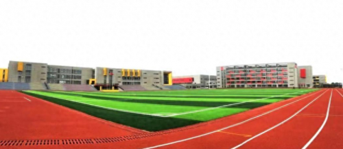 辽宁沈阳市小学排名前十(辽宁小学排名一览表最新)插图7