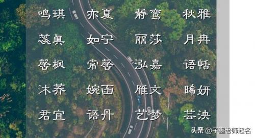 笔下生花是什么生肖(照猫画虎打一个生肖)插图1