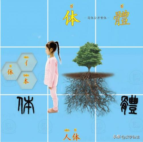望其项背的近义词(望其项背什么意思)插图3