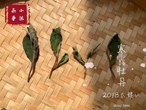 白茶品类排名前十(白茶品牌排名前十名)插图16