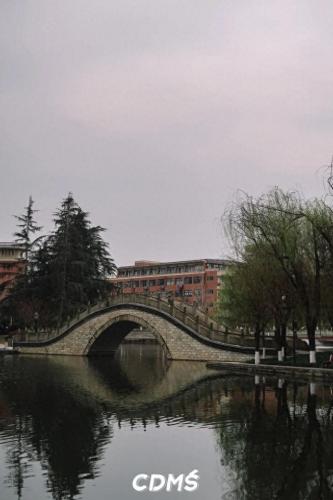 成都十陵镇小吃排名前十(成都十大排名小吃)插图76