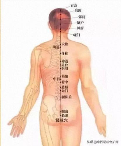 经络养生排名前十(经络养生操30分钟免费看)插图