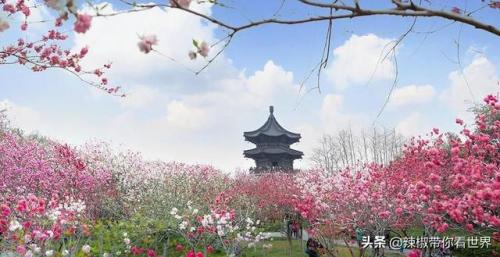 泰州古迹景点排名前十(泰州人文景点排名前十)插图26