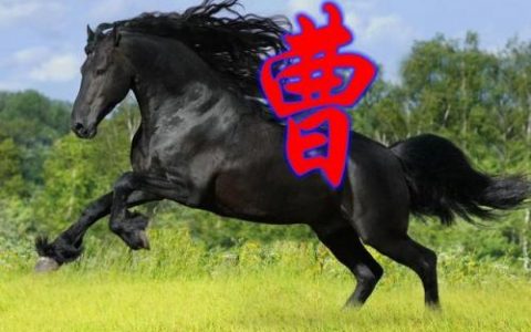 百家姓qq头像(百家姓头像大全真实图)
