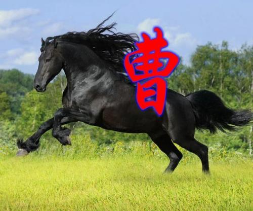 百家姓qq头像(百家姓头像大全真实图)插图