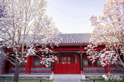 最有味道的大学排名前十(心理学排名前十的大学)插图28