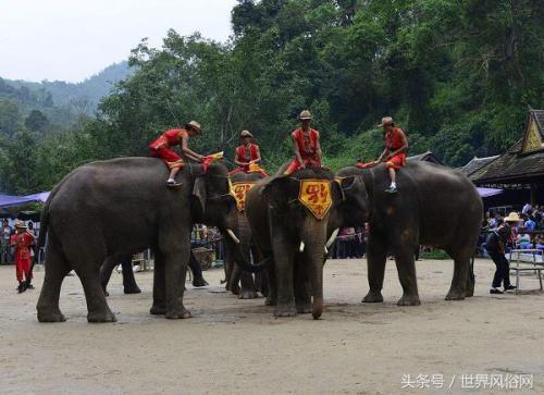 傣族的民风民俗(傣族人民生活习惯风俗)插图2