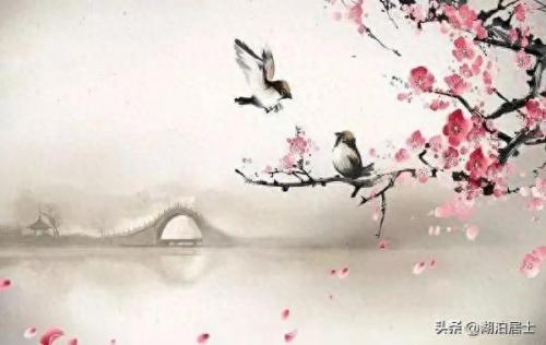 有情有趣全集(网剧有情有趣免费)插图7