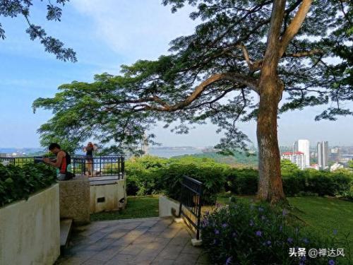新加坡小山排名前十(新加坡排名前十)插图10