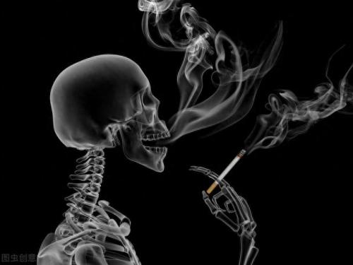 香烟最贵排名前十(十大评分最高的烟)插图11