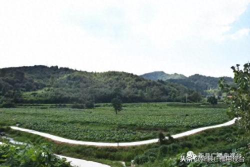 新县水库排名前十(新县牢山水库)插图8