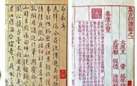 瑞派乐(瑞派乐多少一盒)