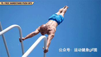 健身大神排名前十(健身大神谁厉害)插图78