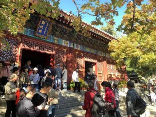 红叶香山在什么地方(香山红叶在哪看最佳)插图1