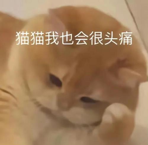 晚上睡不着想看点免费的(适合一个人免费看的视频)插图2