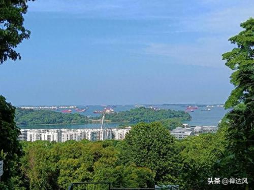 新加坡小山排名前十(新加坡排名前十)插图16