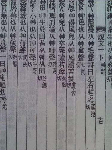 洛克王国烈钻鸟(洛克王国烈钻鸟怎么超进化)插图9