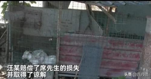 送三只小羊回家(送三只小羊回家2)插图3