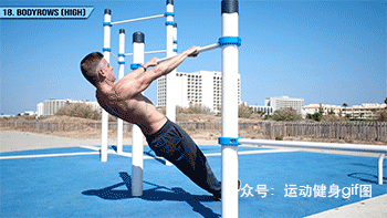 健身大神排名前十(健身大神谁厉害)插图17