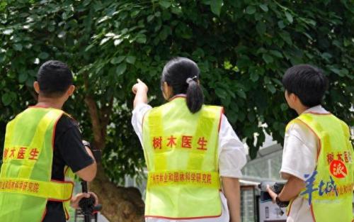 园林人物排名前十(园林大师排行榜前十)插图7
