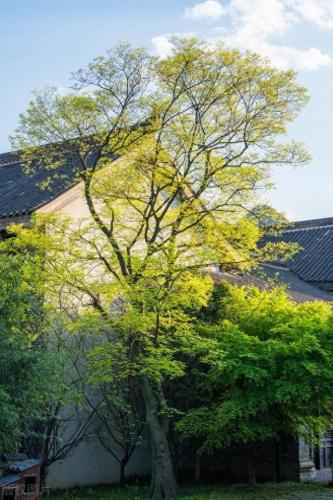 避暑城市排名前十(四季不冷不热的城市)插图14