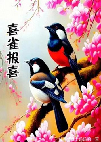 平安顺遂一般送给谁的(平安顺遂图片)插图6