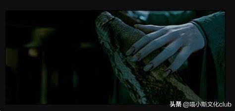 克雷登斯是不是伏地魔(克雷登斯怎么死的)插图2