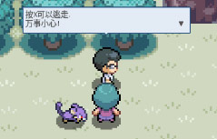 pokemmo关都攻略(pokemmo)插图8