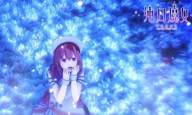 纯白魔女新手职业选择心得(纯白魔女起点)插图