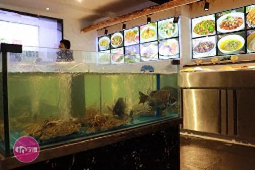 宁海中式家庭装修排名前十(宁海正规装修排名)插图5