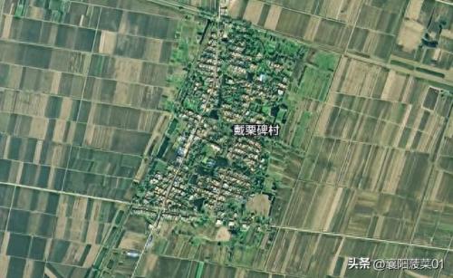 新野姓氏排名前十(在京新野籍名人)插图1