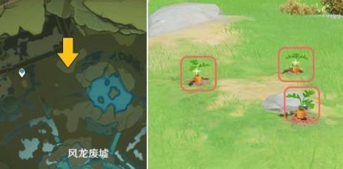 原神蒙德宝箱在哪里(原神蒙德400个宝箱位置)插图7