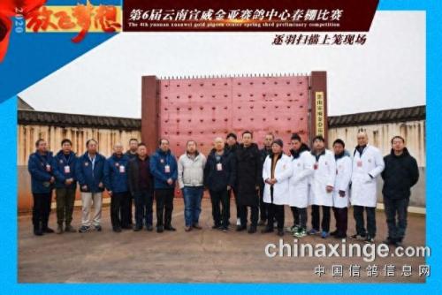 金亚赛鸽中心春棚(宣威金亚赛鸽中心春棚)插图3