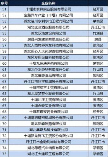 十堰工厂建设排名前十(比亚迪十堰工厂)插图3