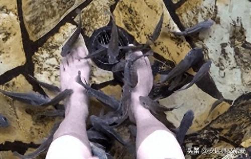 江西十大温泉排名前十(江西出名的温泉在哪)插图12