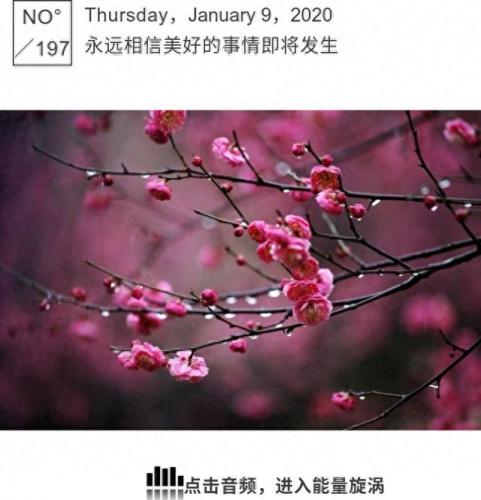 雨露文章网(免费的美文网)插图