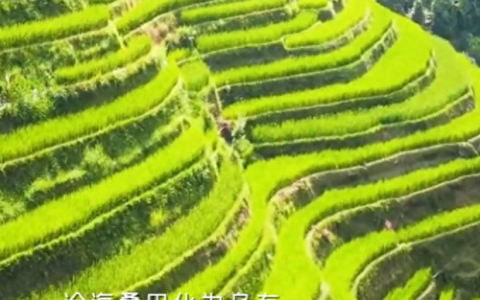 怎能放开你的手(怎能放开你的手歌曲)