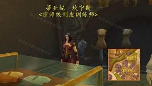 制皮怎么冲(制皮在哪学)插图2