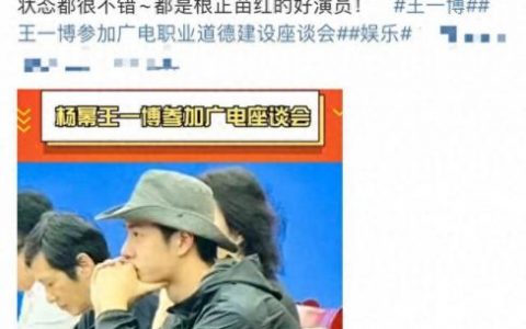 广电明星排名前十(影视明星排名第一是谁)