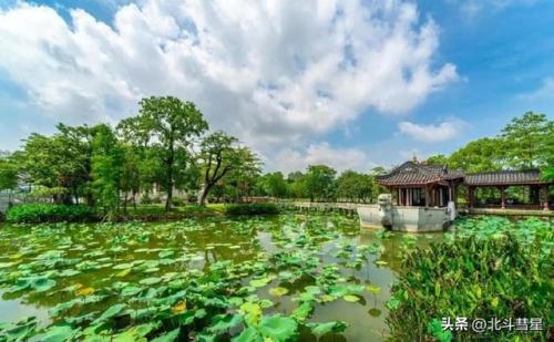惠州好玩街区排名前十(惠州33号青年街区)插图29