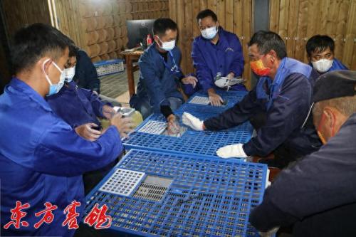 太阳鸟公棚秋棚大(2012年太阳鸟公棚决赛前十名)插图4
