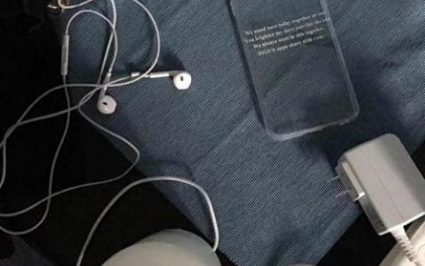 苍耳乐小米(苍耳治鼻炎的做法)