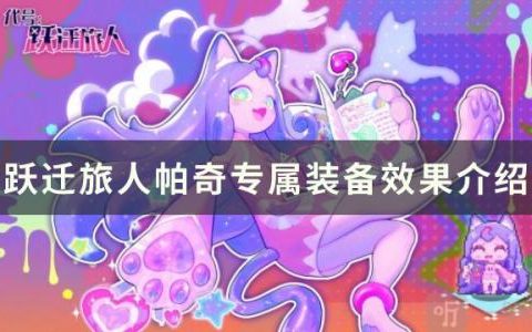 跃迁旅人帕奇专属装备怎么样(跃迁旅人怎么实名认证)