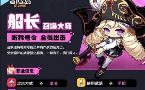 冒险岛职业攻略(冒险岛职业介绍大全)